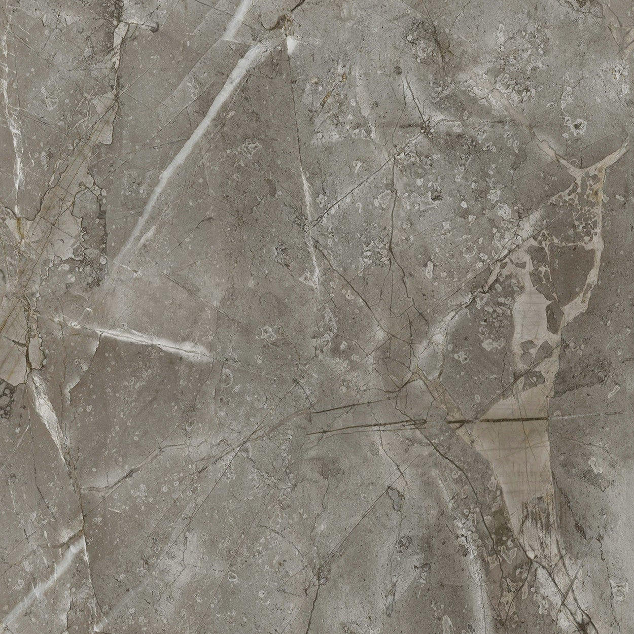 Vilo SPC Wall Panel Marble Skin